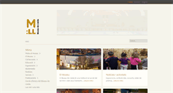 Desktop Screenshot of museudelleida.net